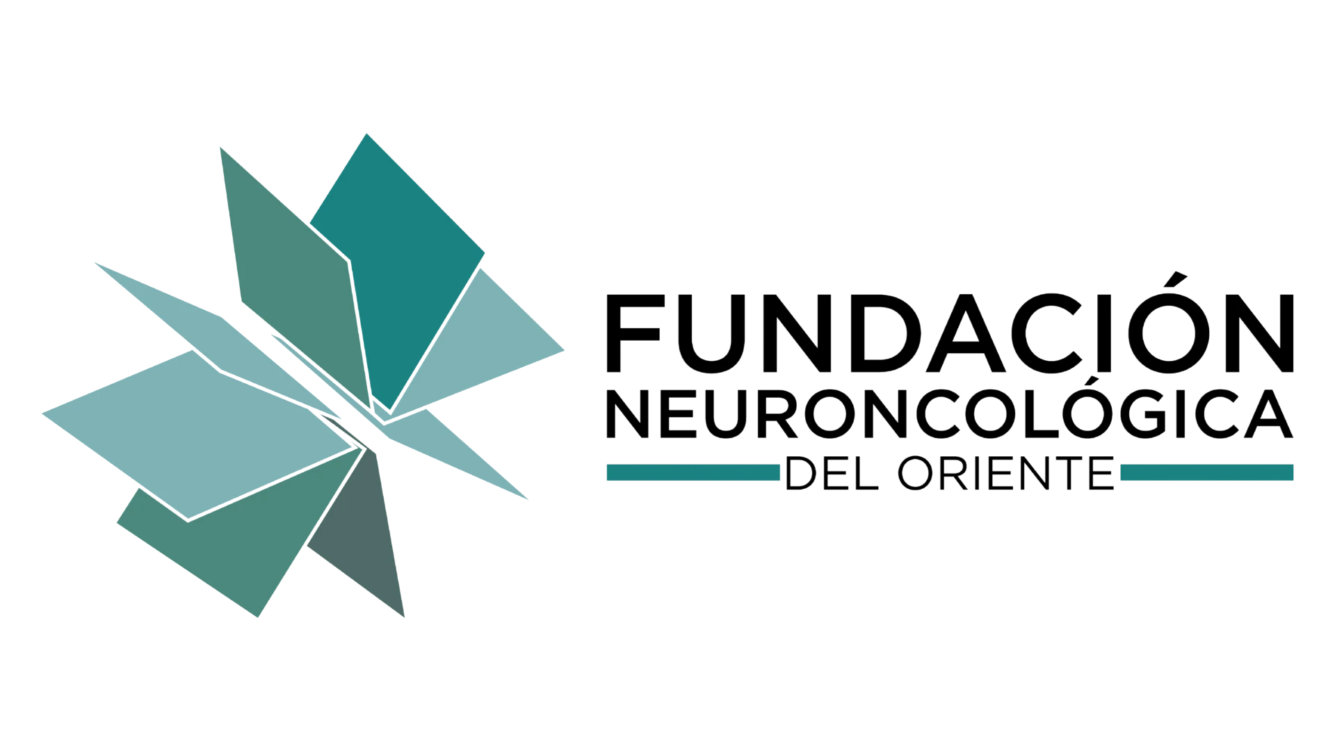 Logo FNO